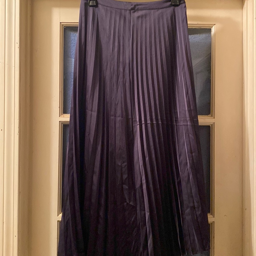 Anthropologie Something Else by Natalie Wood Pleated Maxi Skirt